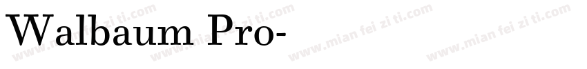 Walbaum Pro字体转换
